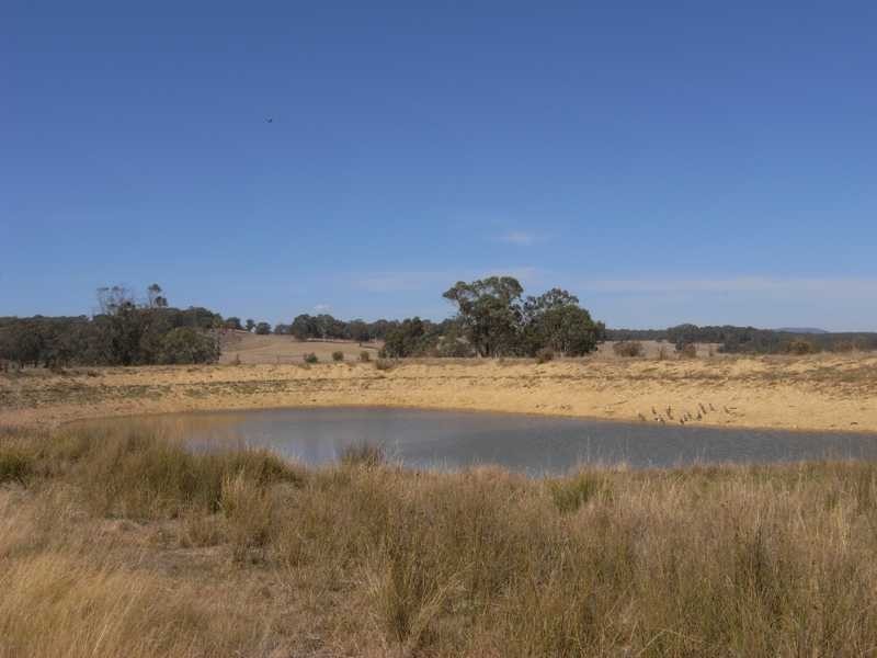1884 Wagga Road, Tumbarumba NSW 2653