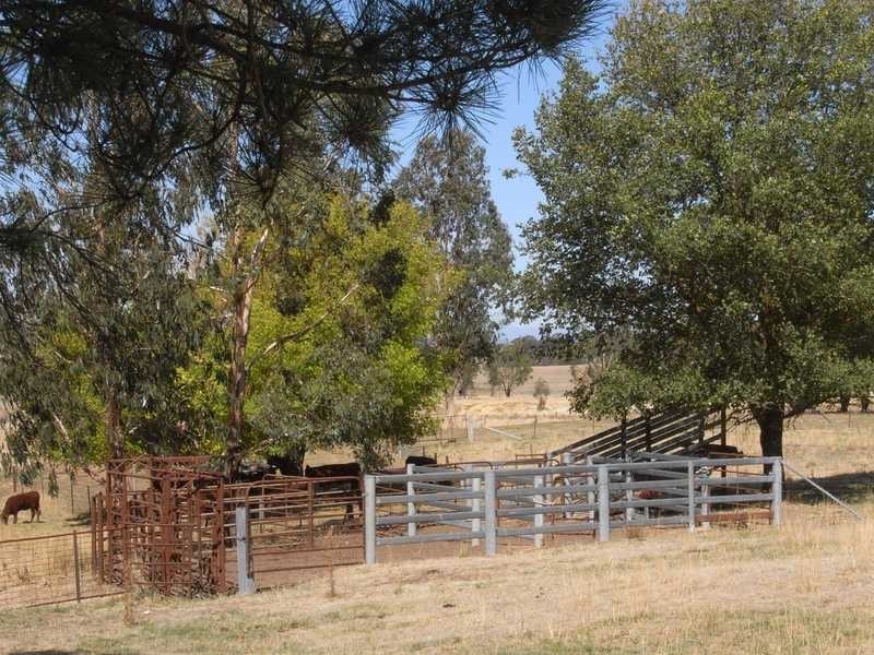 1884 Wagga Road, Tumbarumba NSW 2653