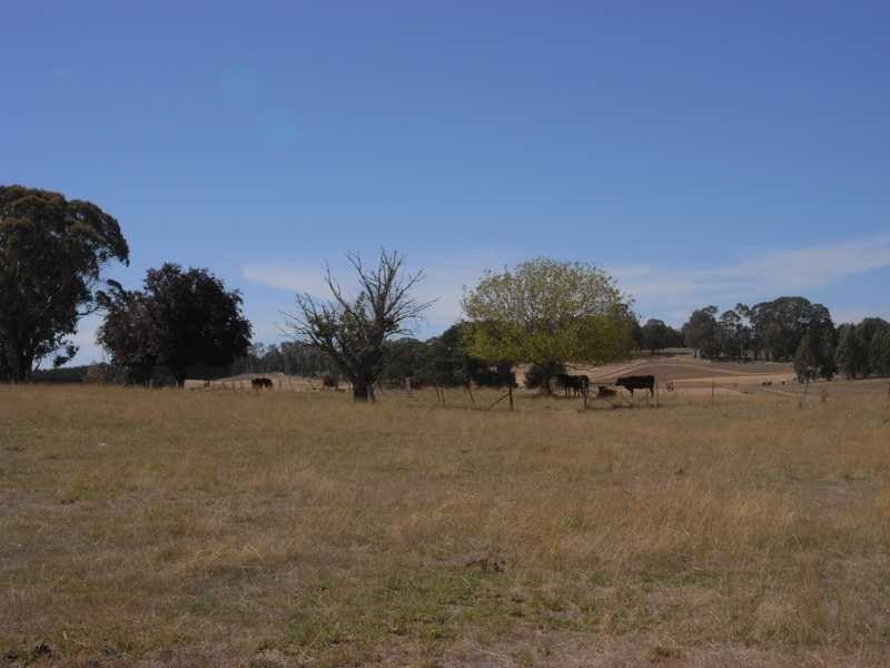 1884 Wagga Road, Tumbarumba NSW 2653