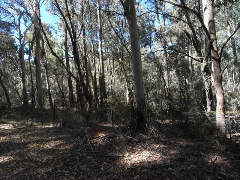 Lots 1 – 6 Nine Mile Road, Tumbarumba NSW 2653