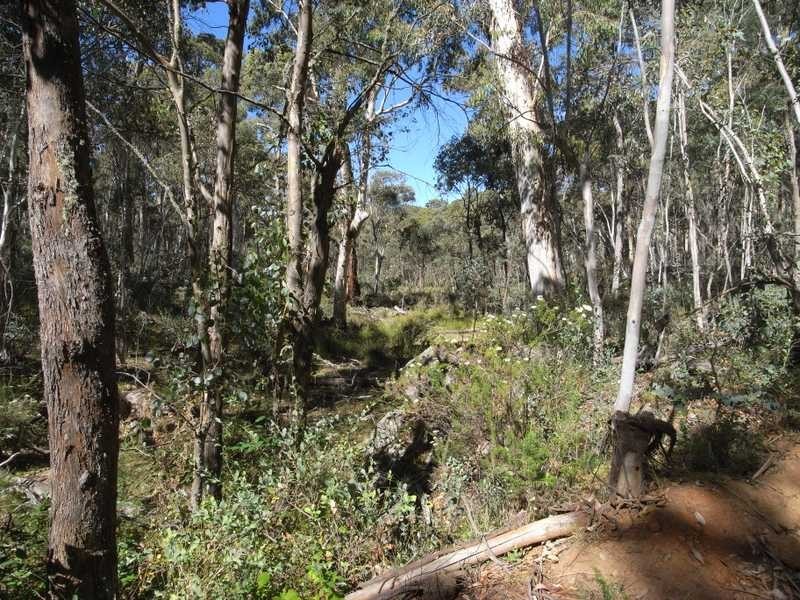 Lots 1 – 6 Nine Mile Road, Tumbarumba NSW 2653