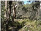 Lots 1 – 6 Nine Mile Road, Tumbarumba NSW 2653
