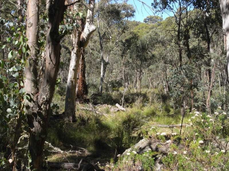 Lots 1 – 6 Nine Mile Road, Tumbarumba NSW 2653