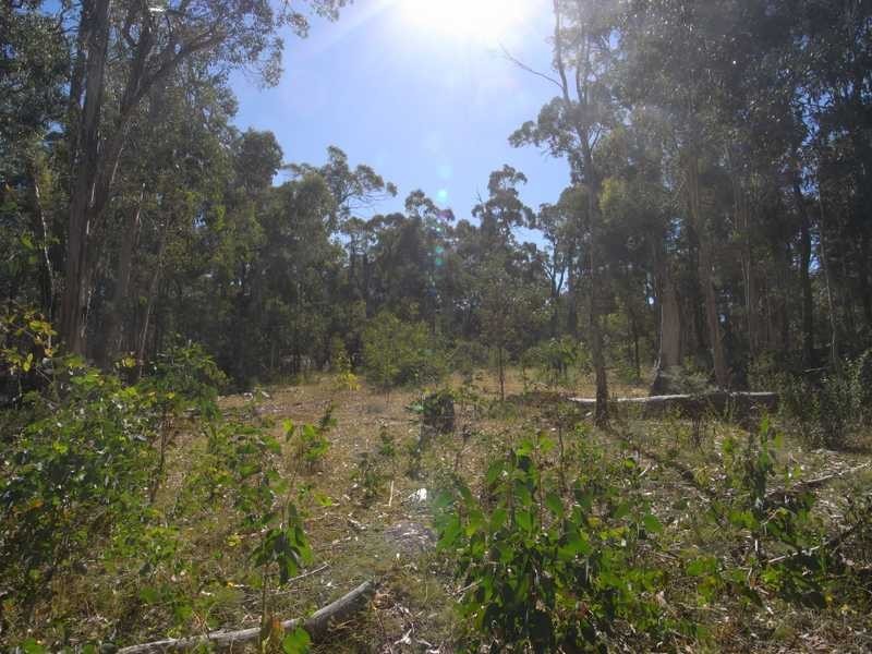 Lots 1 – 6 Nine Mile Road, Tumbarumba NSW 2653