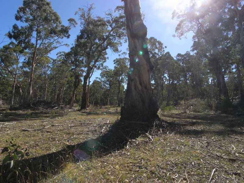 Lots 1 – 6 Nine Mile Road, Tumbarumba NSW 2653