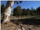 Lots 1 – 6 Nine Mile Road, Tumbarumba NSW 2653