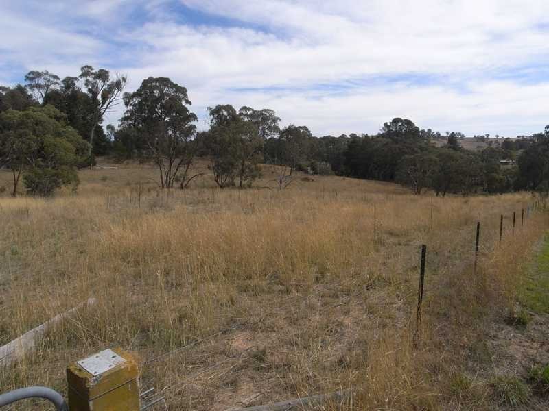 Holm Street, Tumbarumba NSW 2653
