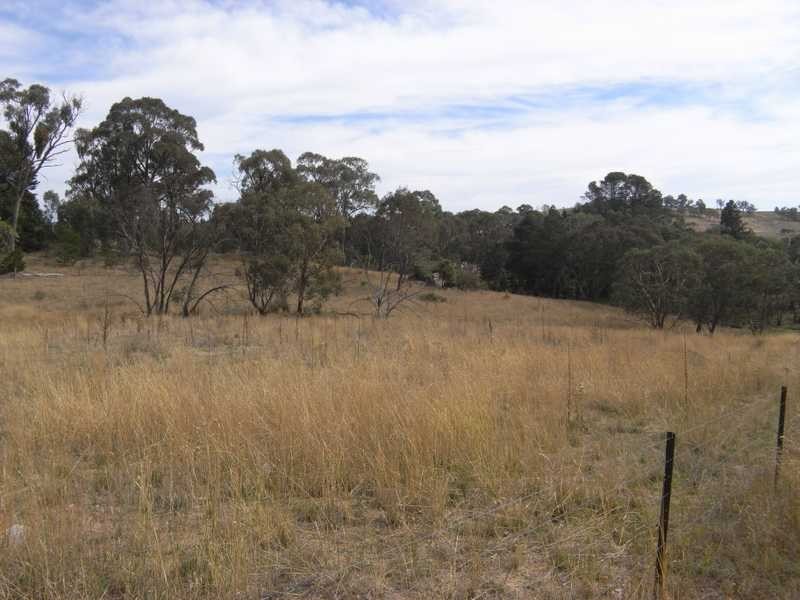 Holm Street, Tumbarumba NSW 2653
