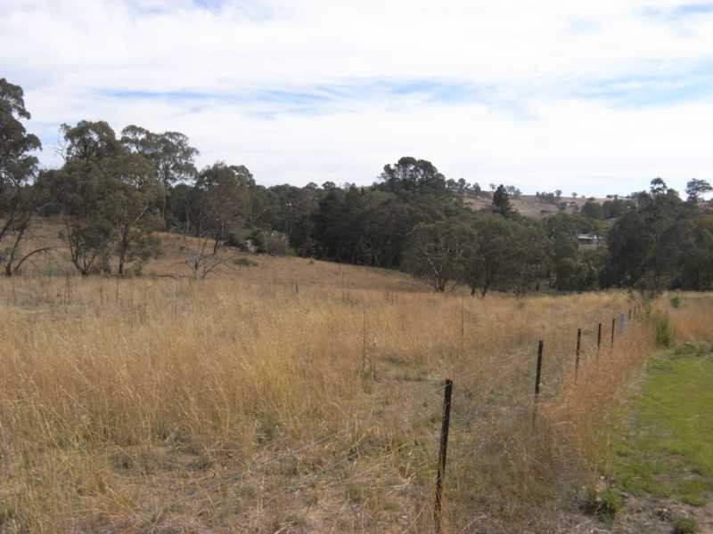 Holm Street, Tumbarumba NSW 2653