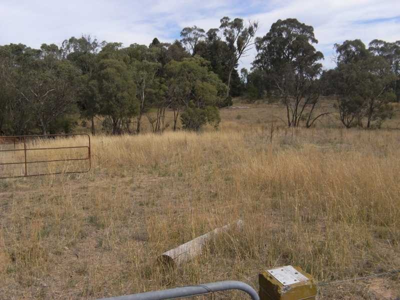 Holm Street, Tumbarumba NSW 2653
