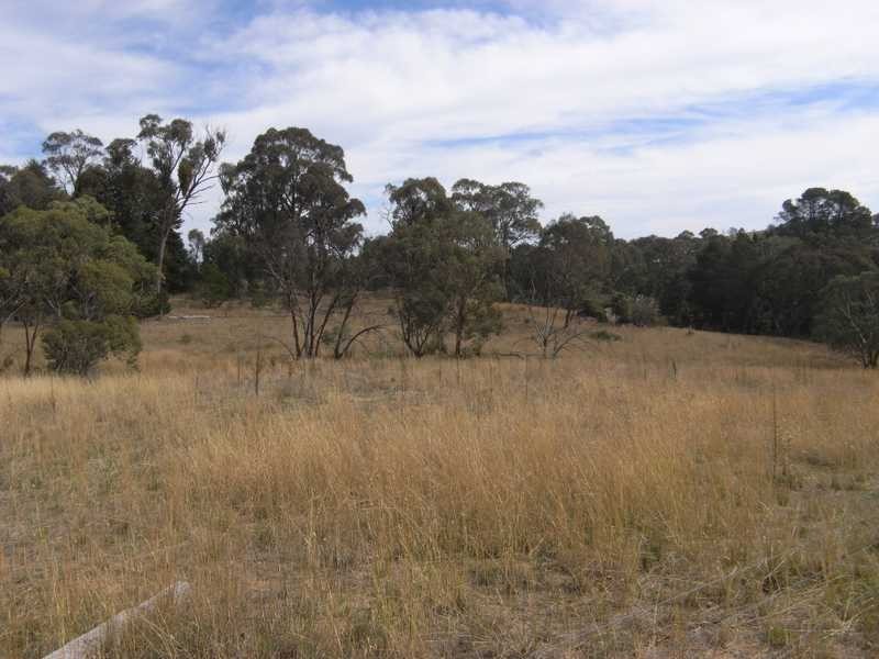 Holm Street, Tumbarumba NSW 2653