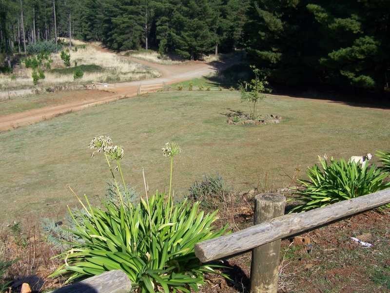 1535 Tooma Road, Tumbarumba NSW 2653