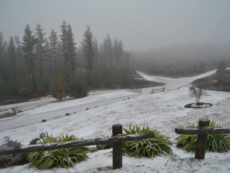 1535 Tooma Road, Tumbarumba NSW 2653