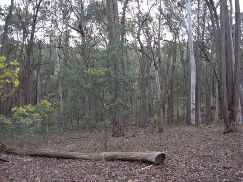 Lot 86 Glenroy Hills Road, Tumbarumba NSW 2653