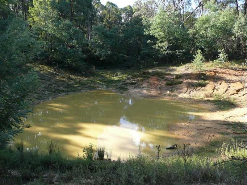 Lot 86 Glenroy Hills Road, Tumbarumba NSW 2653