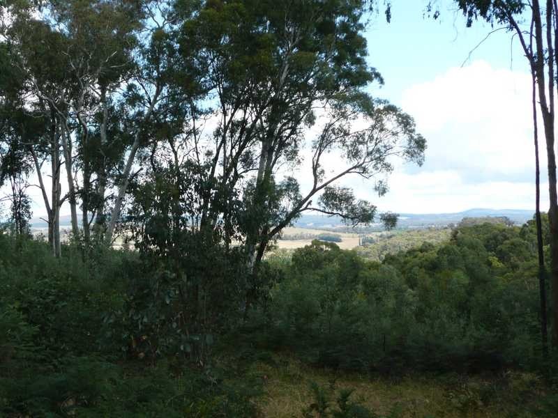 Lot 86 Glenroy Hills Road, Tumbarumba NSW 2653