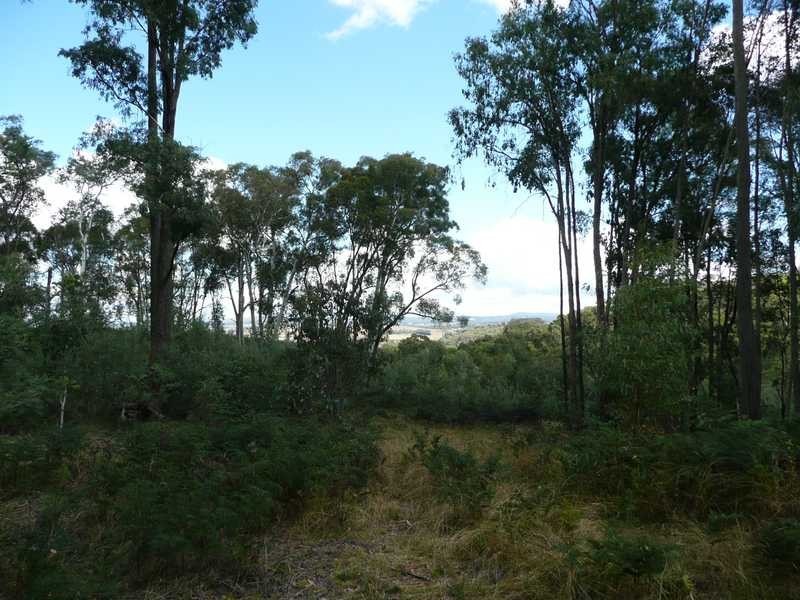 Lot 86 Glenroy Hills Road, Tumbarumba NSW 2653