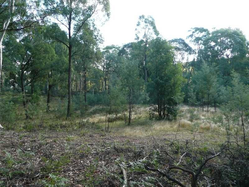 Lot 86 Glenroy Hills Road, Tumbarumba NSW 2653