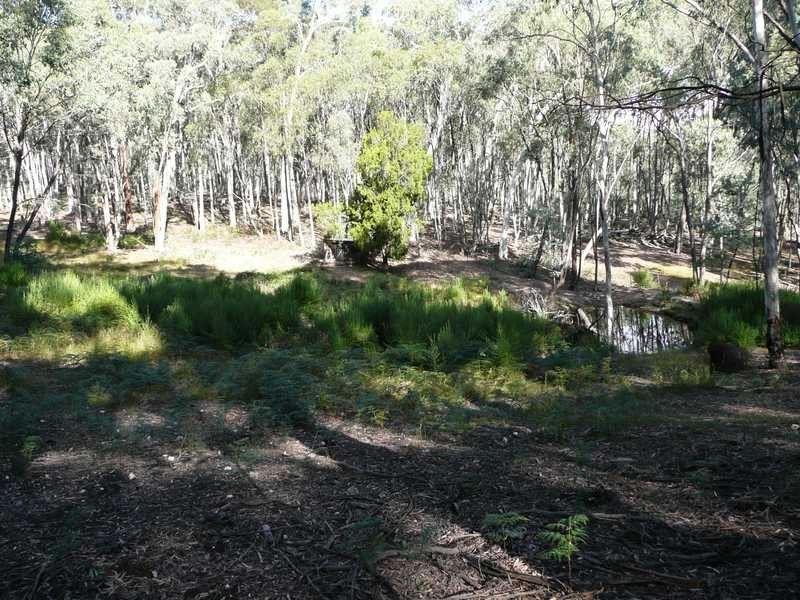 Lot 86 Glenroy Hills Road, Tumbarumba NSW 2653