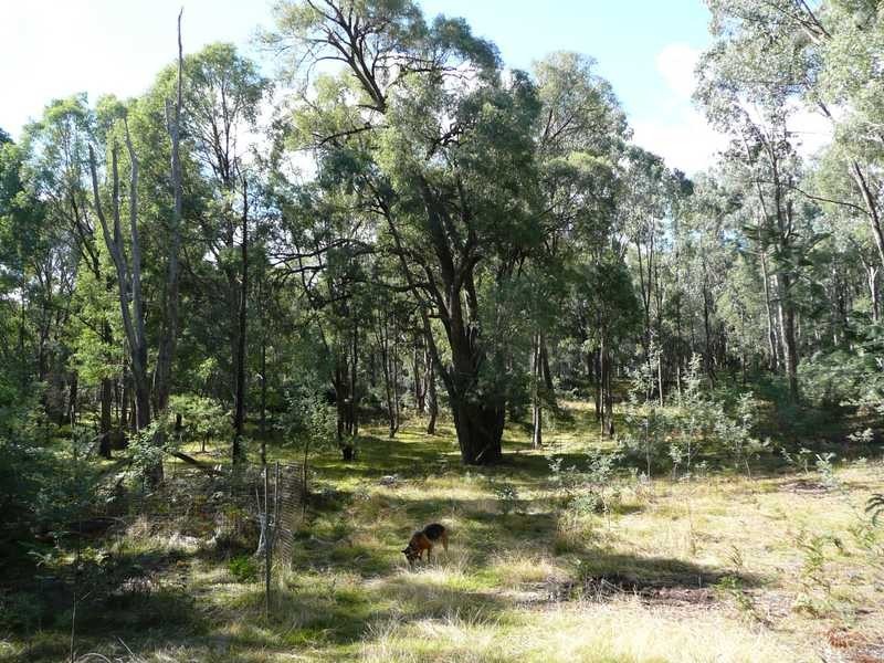 Lot 86 Glenroy Hills Road, Tumbarumba NSW 2653