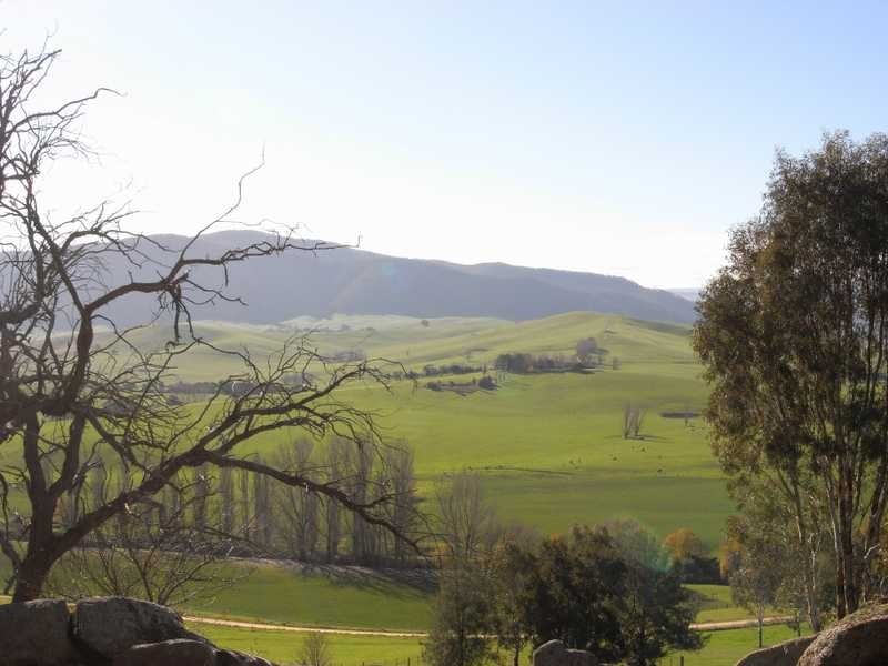 59 Lower Mannus Creek Road, Tumbarumba NSW 2653