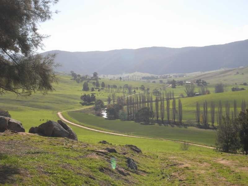 59 Lower Mannus Creek Road, Tumbarumba NSW 2653