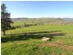 59 Lower Mannus Creek Road, Tumbarumba NSW 2653