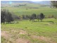 59 Lower Mannus Creek Road, Tumbarumba NSW 2653