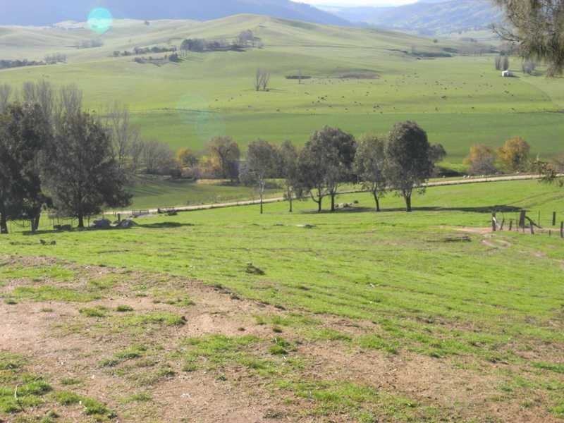59 Lower Mannus Creek Road, Tumbarumba NSW 2653