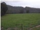 Bullpit 542 Yench’S Rd, Lankeys Creek NSW 2644