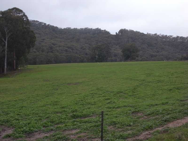 Bullpit 542 Yench’S Rd, Lankeys Creek NSW 2644