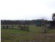 Bullpit 542 Yench’S Rd, Lankeys Creek NSW 2644
