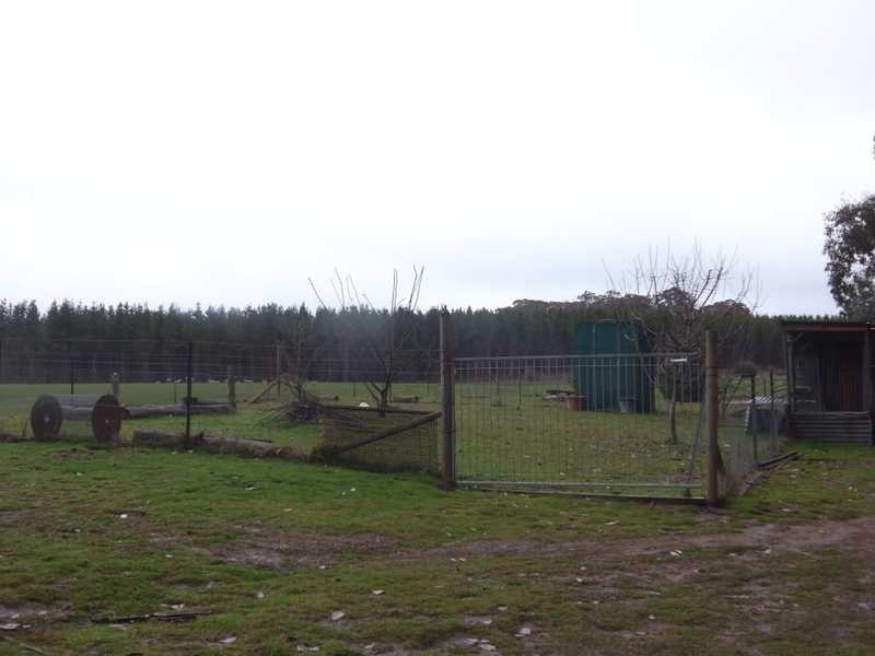 Bullpit 542 Yench’S Rd, Lankeys Creek NSW 2644