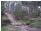 Bullpit 542 Yench’S Rd, Lankeys Creek NSW 2644