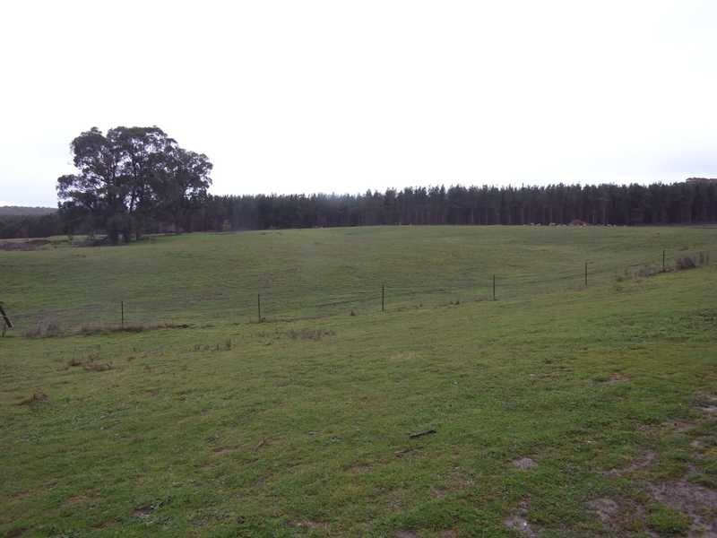 Bullpit 542 Yench’S Rd, Lankeys Creek NSW 2644