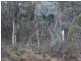 Bullpit 542 Yench’S Rd, Lankeys Creek NSW 2644