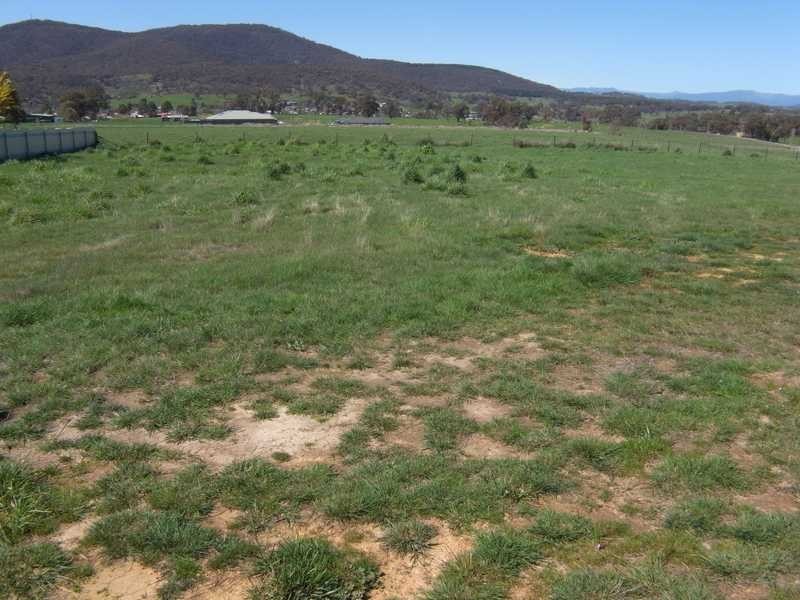 23 Langland Street, Tumbarumba NSW 2653