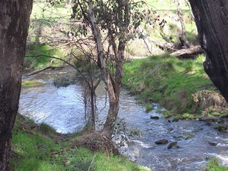 51 Willigobung Road, Tumbarumba NSW 2653