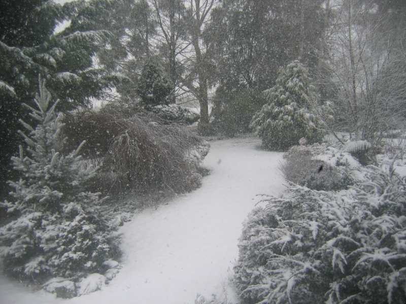 51 Willigobung Road, Tumbarumba NSW 2653