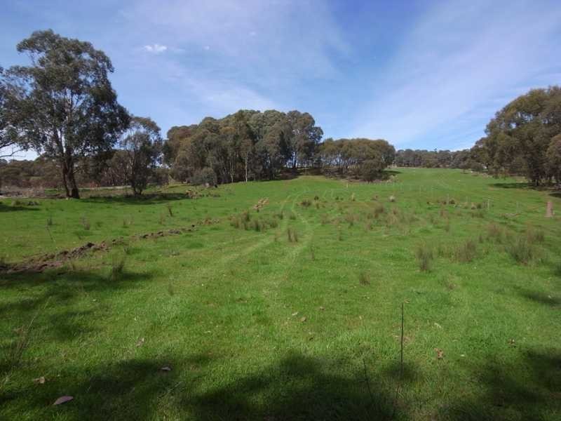 51 Willigobung Road, Tumbarumba NSW 2653