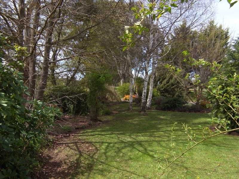 51 Willigobung Road, Tumbarumba NSW 2653