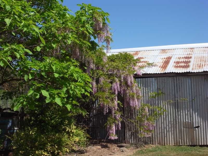 51 Willigobung Road, Tumbarumba NSW 2653