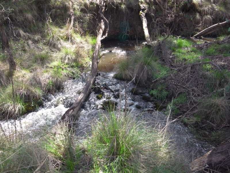 51 Willigobung Road, Tumbarumba NSW 2653