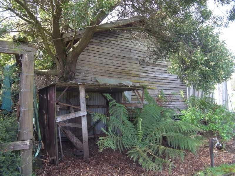 51 Willigobung Road, Tumbarumba NSW 2653