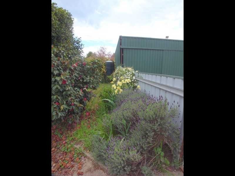 92 Winton Street, Tumbarumba NSW 2653