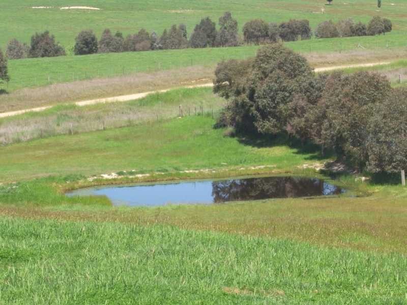 Part of Caringa – Mannus Valley, Tumbarumba NSW 2653