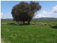Part of Caringa – Mannus Valley, Tumbarumba NSW 2653