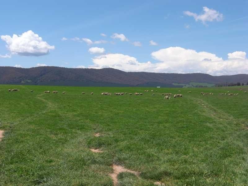 Part of Caringa – Mannus Valley, Tumbarumba NSW 2653