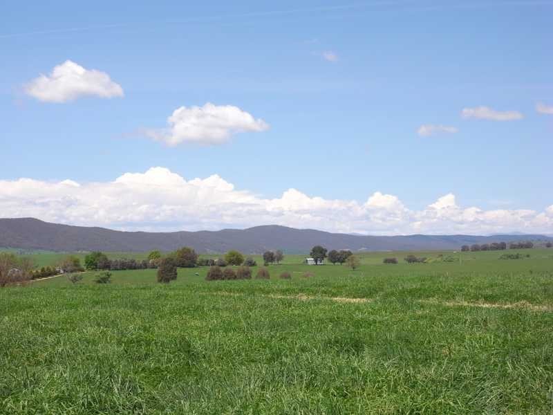 Part of Caringa – Mannus Valley, Tumbarumba NSW 2653