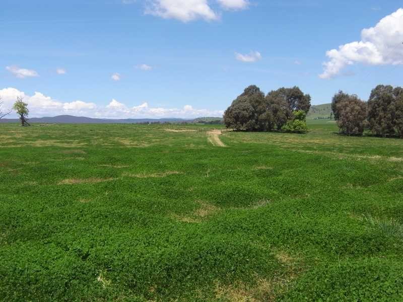 Part of Caringa – Mannus Valley, Tumbarumba NSW 2653